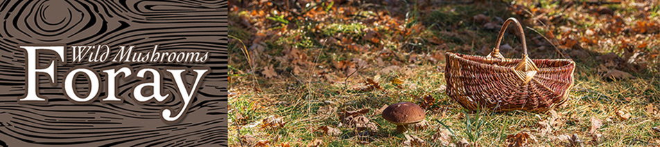 Wildcaught Wild Mushrooms Foray